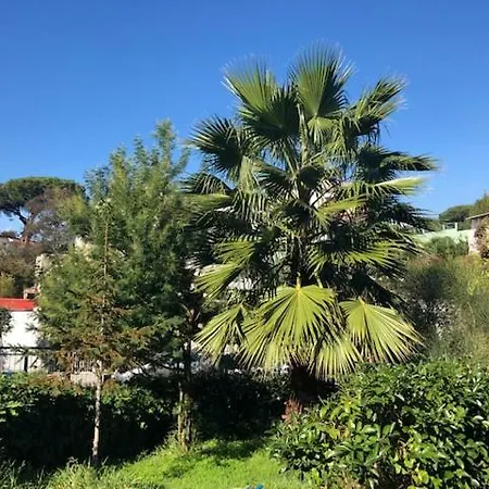 Holiday home La Torre del Greco